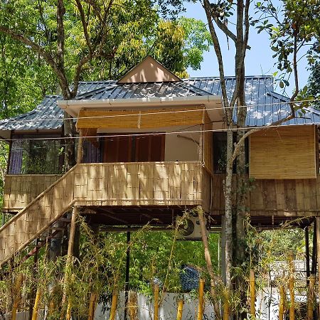 Ponmudi Valley Resorts Eksteriør billede