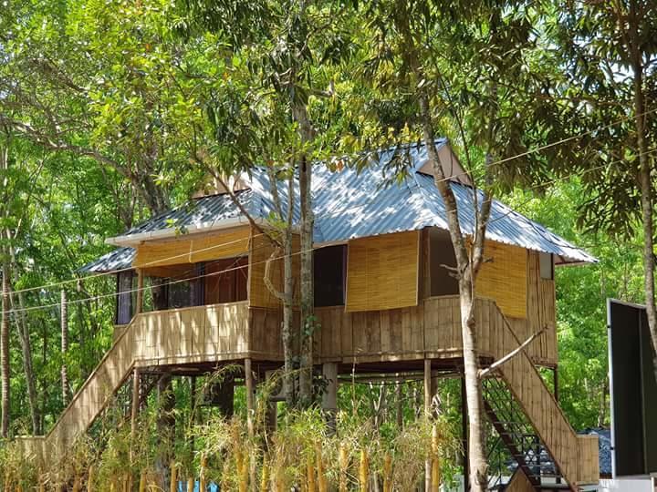 Ponmudi Valley Resorts Eksteriør billede