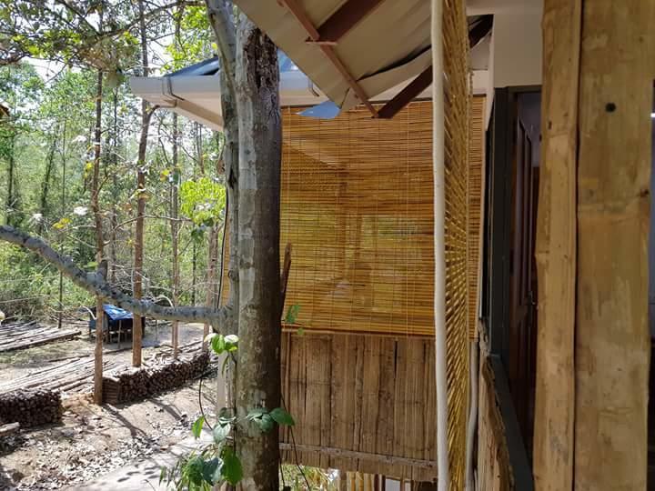 Ponmudi Valley Resorts Eksteriør billede