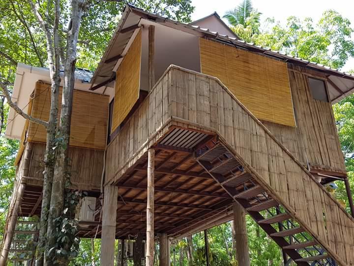 Ponmudi Valley Resorts Eksteriør billede