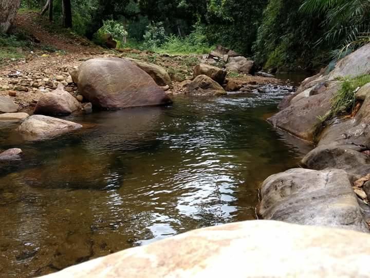 Ponmudi Valley Resorts Eksteriør billede