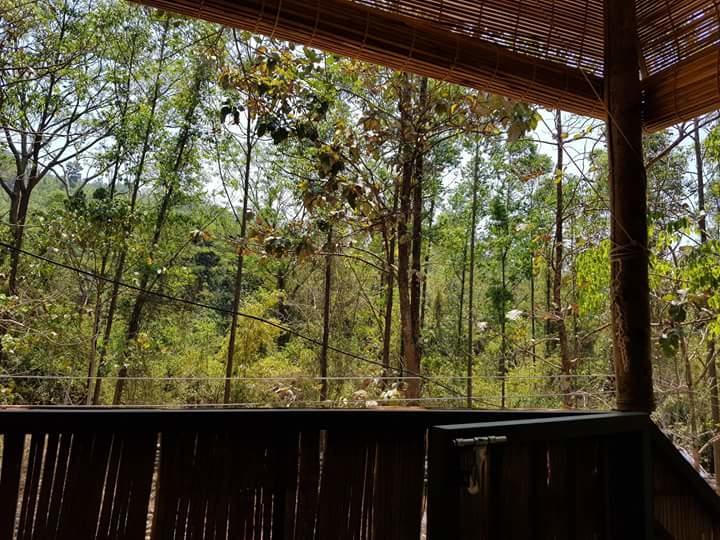 Ponmudi Valley Resorts Eksteriør billede