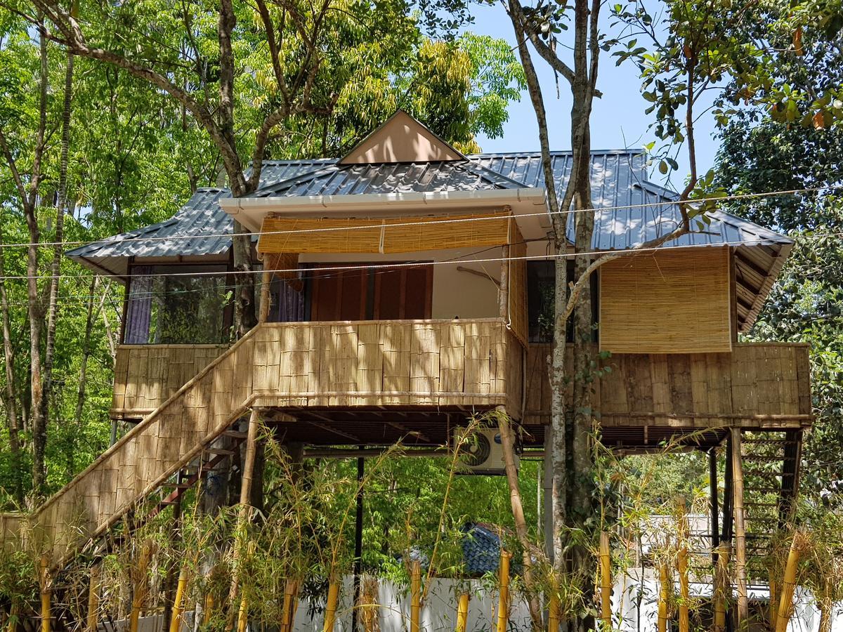 Ponmudi Valley Resorts Eksteriør billede